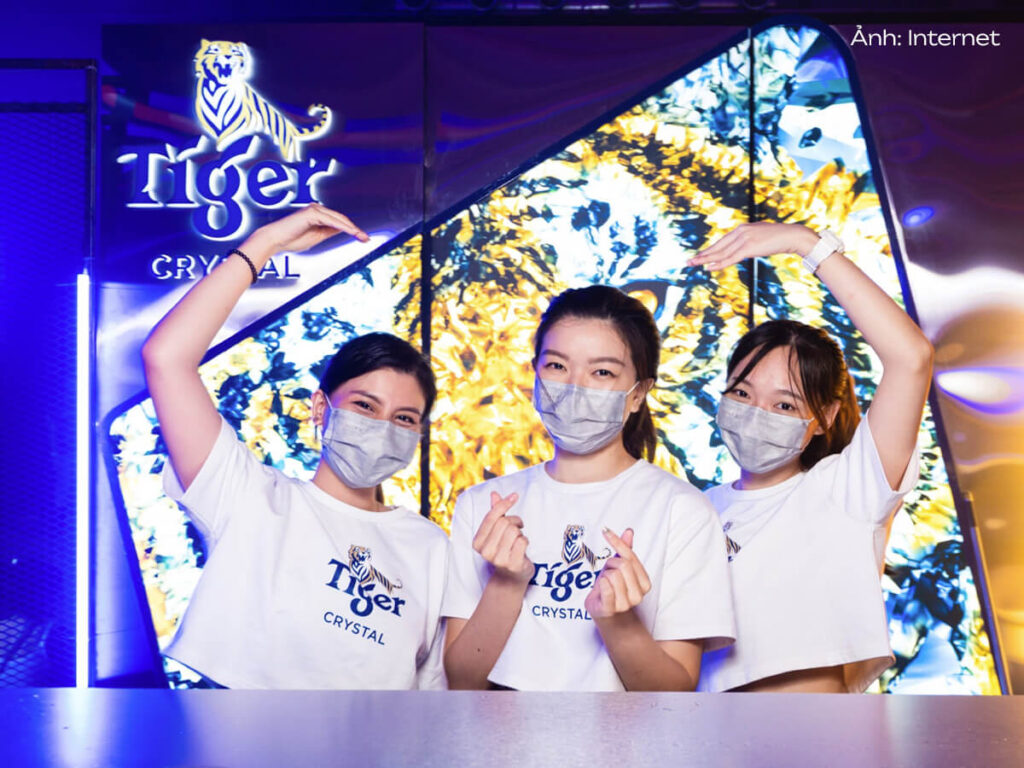 Áo croptop trắng đồng phục Bia Tiger