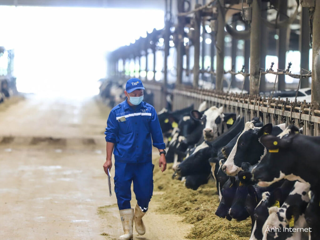 Phụ kiện mũ lưỡi trai cho bộ đồng phục TH True Milk