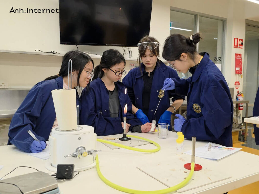 Áo bảo hộ đồng phục Vinschool