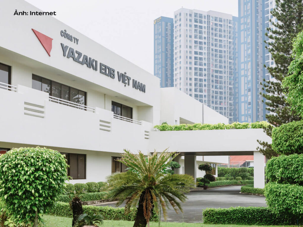 Logo công ty Yazaki EDS Việt Nam