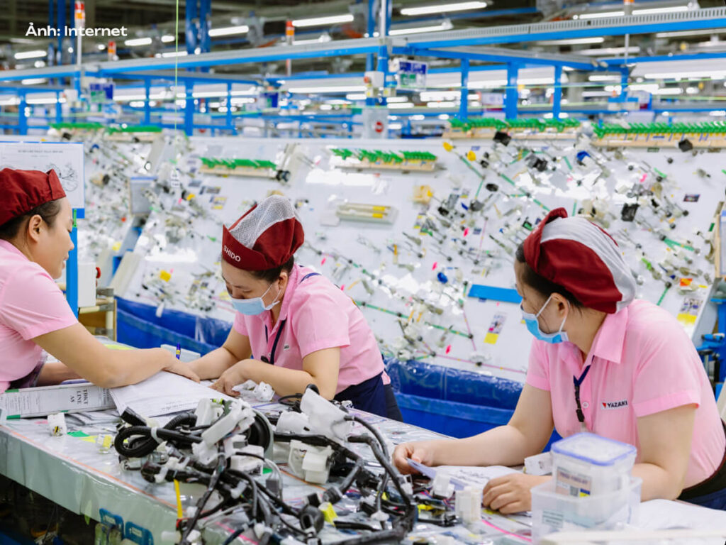 Áo sơ mi đồng phục công ty Yazaki màu hồng